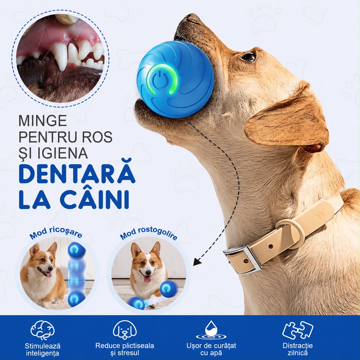 Minge interactiva cu miscare automata pentru caini