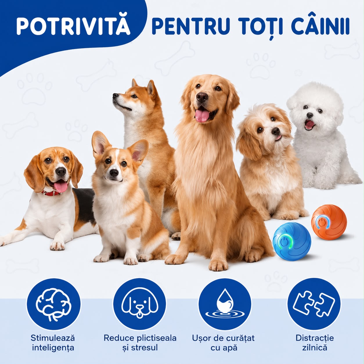 Minge interactiva cu miscare automata pentru caini