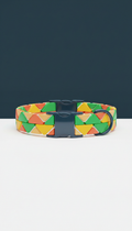 Coral Blaze geometric dog collar