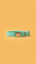Aqua Mint canvas pet collar